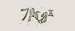 認証画像